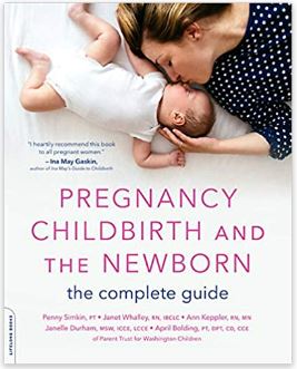 pregnancy book 1