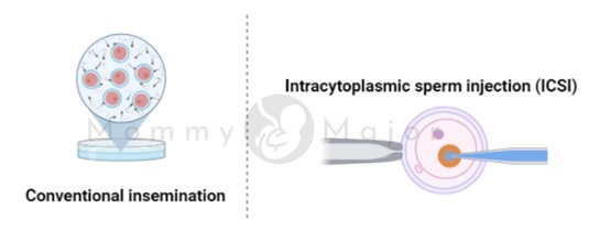 Graph about IVF